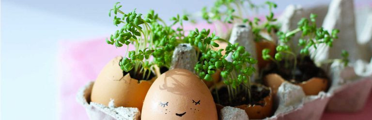Activity of the week: Fun food growing at home